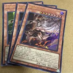 3枚セット　遊戯王　教導の死徒 ur