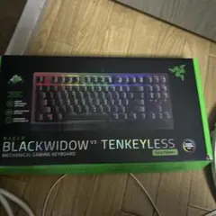 Razer BlackWidow V3 Tenkeyless 本体