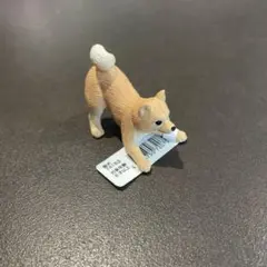 柴犬　ミニチュアプラネット　miniature planetのサムネイル