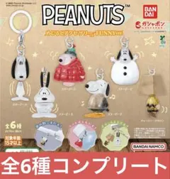 PEANUTS めじるし アクセサリー スヌーピー コンプリート コンプ