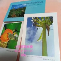 Item thumbnail for item 62ed381f-4697-4d96-9c31-9405c53ee06d