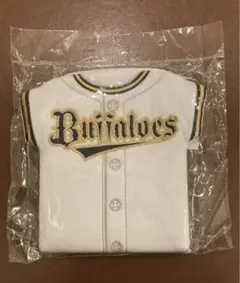 オリックスバファローズ　チケットホルダー