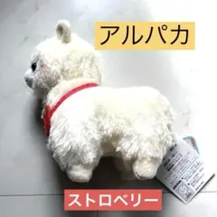 美品 アルパカッソ ストロベリー べーJr. ぬいぐるみ