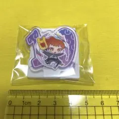 新品未開封　めいちゃん　石川　ライブ　入場特典　アクリルスタンド