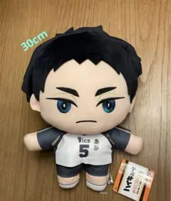 ハイキュー‼︎　みにコレ！　 BIGぬいぐるみ4　赤葦京治