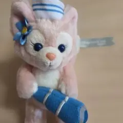 【メッシュ袋付】限定 ディズニーアドベンチャー リーナベル DCL