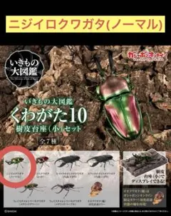 いきもの大図鑑 カプセルトイ