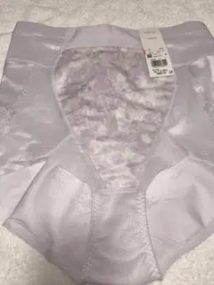 ワコール Wingガードル ハミデンヌ 76-L　IV