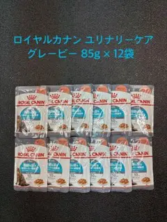 Item thumbnail for item b2088fd3-69ac-41d6-92c1-ffd8fd4d8729