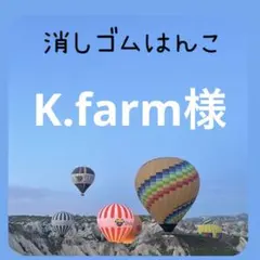 K.farm様専用　消しゴムはんこ