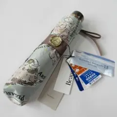 ポケパークカントー ブイブイヴォヤージュ 晴雨兼用傘 日傘 - メルカリ