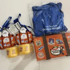 東京ディズニーリゾート 35周年 バケーションパッケージセット