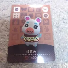 まとめ割あり！ゆきみ　あつ森・あつまれどうぶつの森・アミーボ・amiiboカード