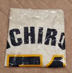 Item thumbnail for item 5dc651c5-dbe9-42b2-99aa-7352baf62738