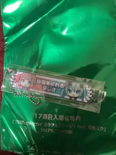 プロジェクトセカイ プロセカ 映画 望月穂波 キーホルダー（シリアルコード付き）