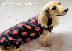 No.4909　いちご柄のジャカードニット　バルーンワンピース　＜ダックス＞