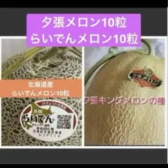 糖度19!! 「太陽の華」富良野メロン 2玉 品種：ティアラ - メルカリ