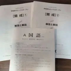 2025年最新】サピックスオープン 開成の人気アイテム - メルカリ