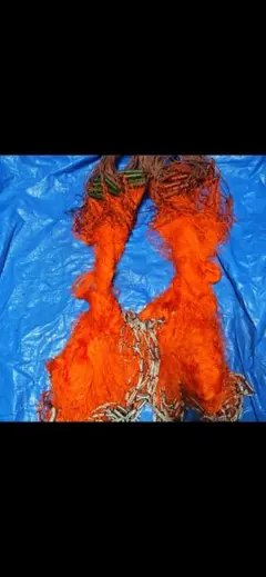 Item thumbnail for item 33351f84-69c4-44fc-80b8-ce8751ed1bee