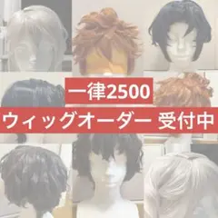 コスプレ ウィッグ オーダー