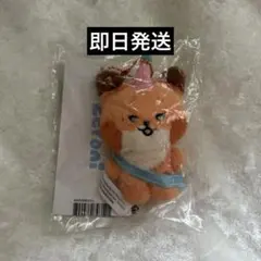 2026年最新】テュニニ ぬいぐるみの人気アイテム - メルカリ