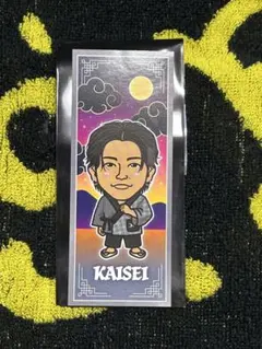 武知海青 KAISEI 千社札 RAMPAGE