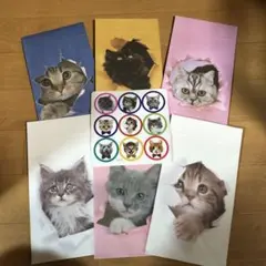 Item thumbnail for item ffb1f954-08ac-481f-b780-4ad6aa0c6689