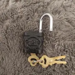 Item thumbnail for item ef85237f-41df-4ce0-9641-44d6deca8f35