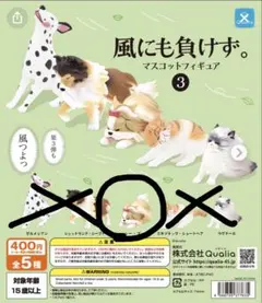 ガチャガチャ セット