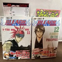 BLEACH 11巻 12巻 初版