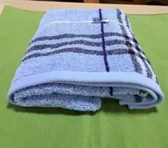 Item thumbnail for item 397ebd09-fdee-430e-999f-591ddb398ff5