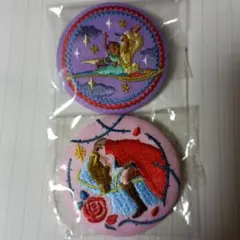 ディズニー刺繍缶バッジ　アラジンとオーロラ姫2個