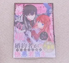 ひじり様 リクエスト 2点 まとめ商品