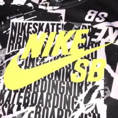 NIKE SBパーカー