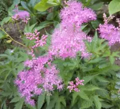 ひかちゃん様 リクエスト 2点 まとめ商品