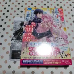 死に戻ったので闇堕ち(予定)の義弟を可愛がることにしたら、なぜか氷公爵な旦那様…