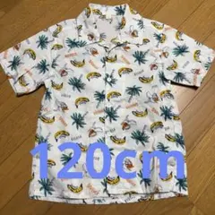 Tシャツ 西松屋 白シャツ 夏服 子供服 120 120cm 白色 春服