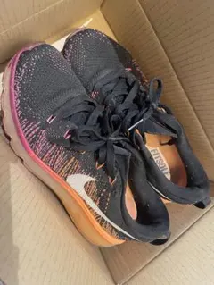 Item thumbnail for item eb284684-783f-4f27-888e-fc0a91beff55