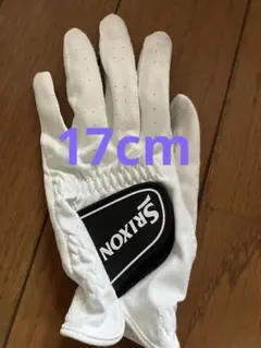 Item thumbnail for item aeb68645-c296-4f24-980c-45a642e915b9