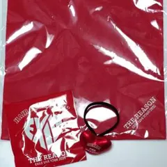 EXILE THE REASON ロゴハンドタオル＆世界ヘアゴム