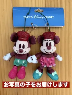 新作　新品タグ付き　ぬいぐるみチャーム　さくらんぼ　チェリー　ディズニーリゾート