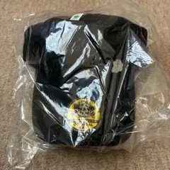 ぽこあポケモン キャップ 帽子 特典 EDION