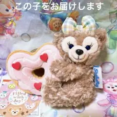 シェリーメイ✳︎ぬいぐるみバッジ✳︎フィルドウィズジョイ！