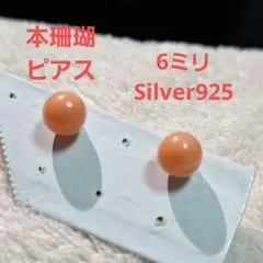 本珊瑚ピアス　Silver925　６ミリ