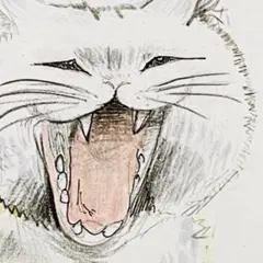 あくび白猫の色鉛筆イラスト