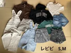 レピアルマリオ　いろいろ　セット