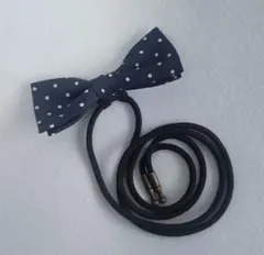 蝶ネクタイ　水玉　青