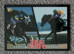 サラブレッドカード　ダイイチルビーvsダイタクヘリオス