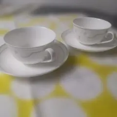 Villeroy & Boch Amado カップ＆ソーサー 2客♥絶対オススメ