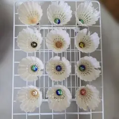 【ノック用】バドミントンシャトル 1ダース12個入り